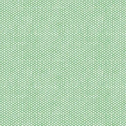 Desoto Overhemd 83032-3 Groen Hot