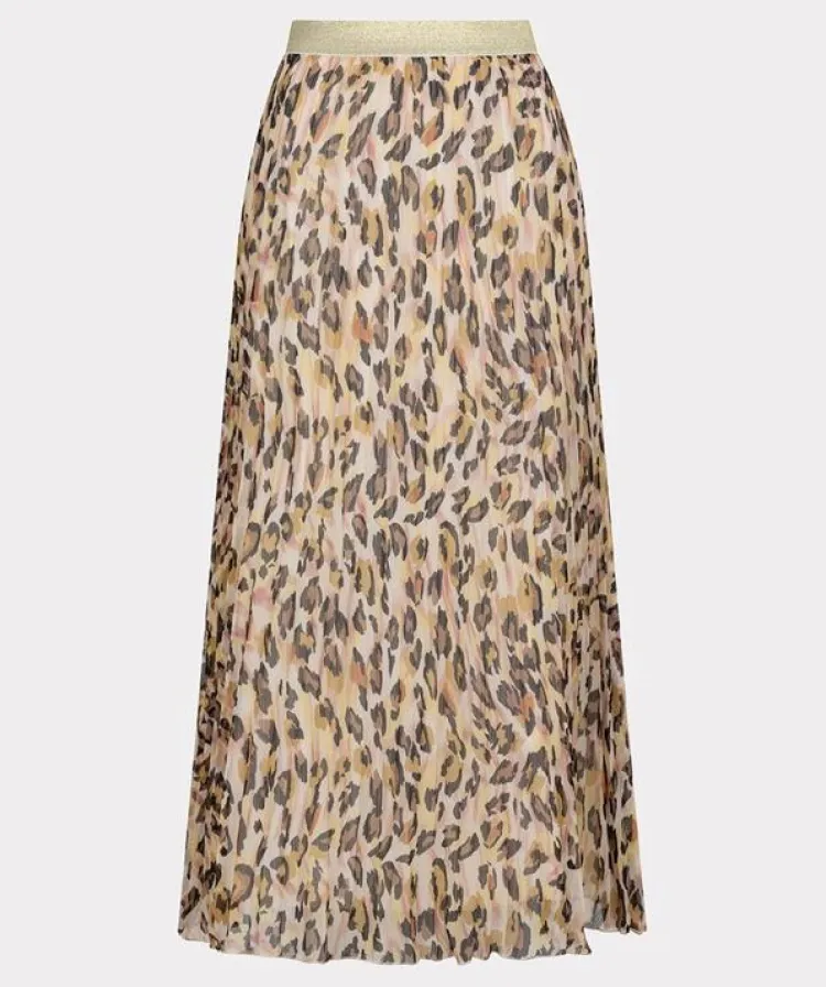 Esqualo Rok SP25.14002 New